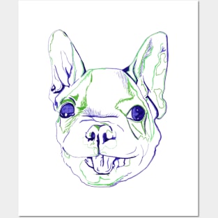 French Bulldog Puppy Posters and Art